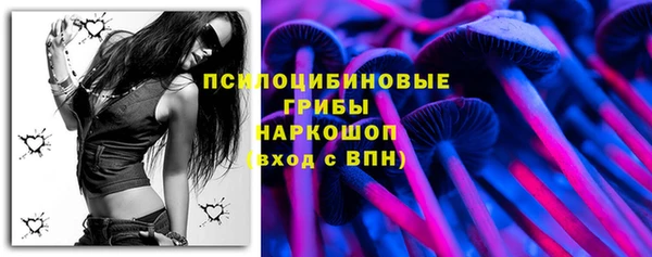 мдпв Ростов