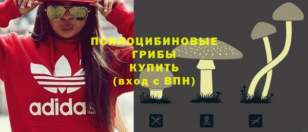 мдпв Ростов