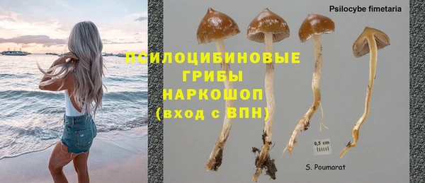 мдпв Ростов
